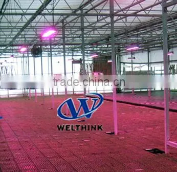 Single 3w chip High efficiency LED grow light