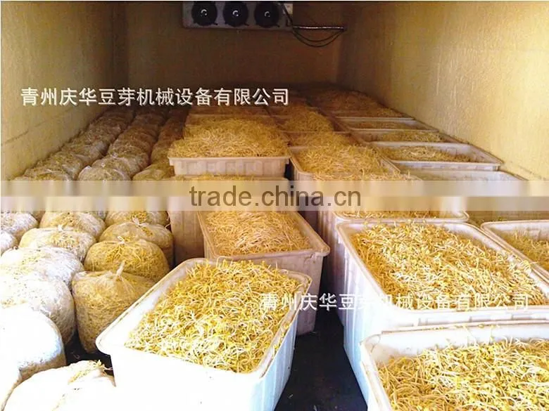 Full-automatic Bean Sprouts Machine(CE)