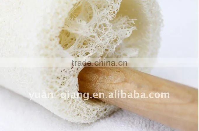 Loofah Bath Brush