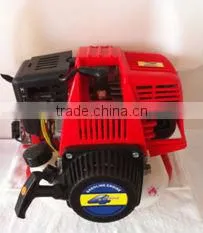 Knapsack Gaoline Power Sprayer 2/4-Stroke 900Tank