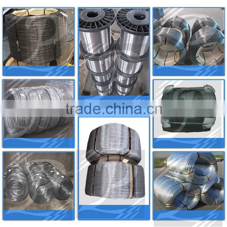 Trustworthy China supplier Galvanized Wire