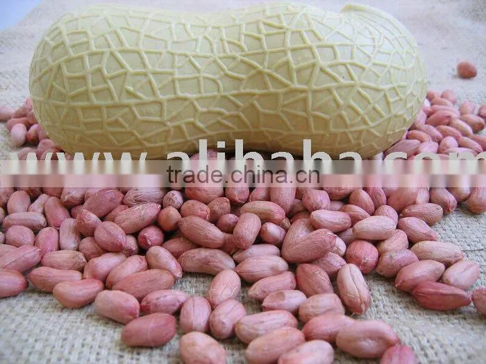 2014 Peanut kernels, Round shape, Chinese Java 40/50 , 50/60 ,60/70