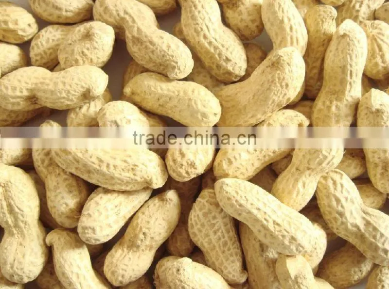 good quality peanut in selling