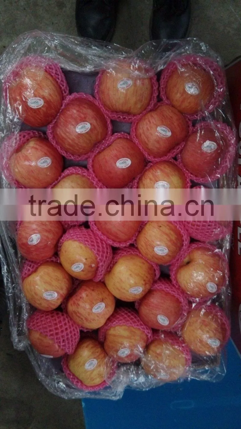 chinese fuji apple