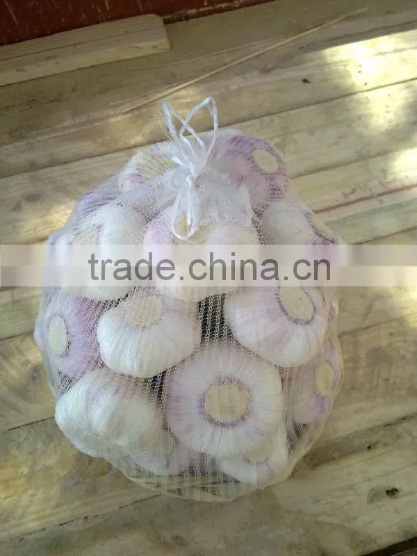 White Garlic