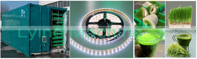 Made in China barley fodder hydroponic machine