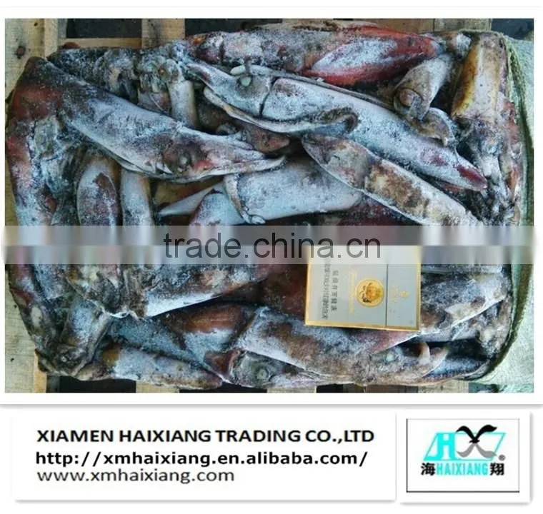 Price of fresh squid