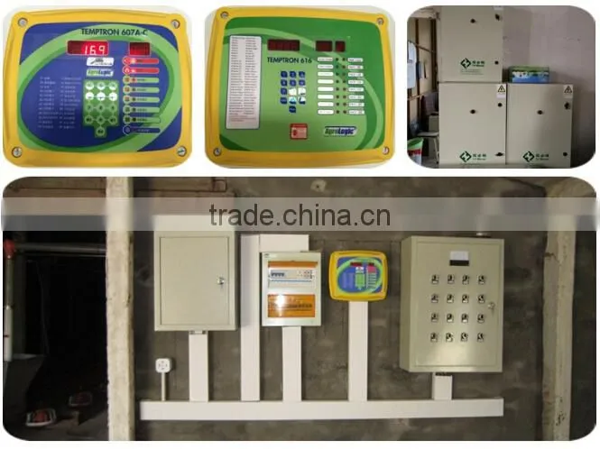 Prefabricated chicken poultry broiler house and automatic equipment