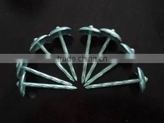 nail polish/Galvanized cap roofing nails/Polishing Clout Nails