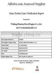 R6105ZP Ricardo diesel engine good quality
