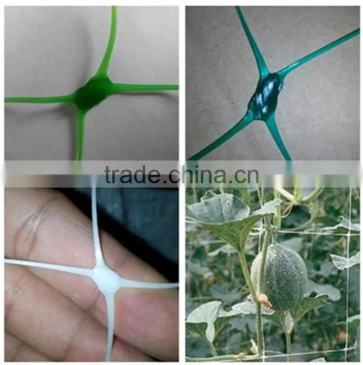 Hot sale UV treated BOP strech net plastic plant climbing nets