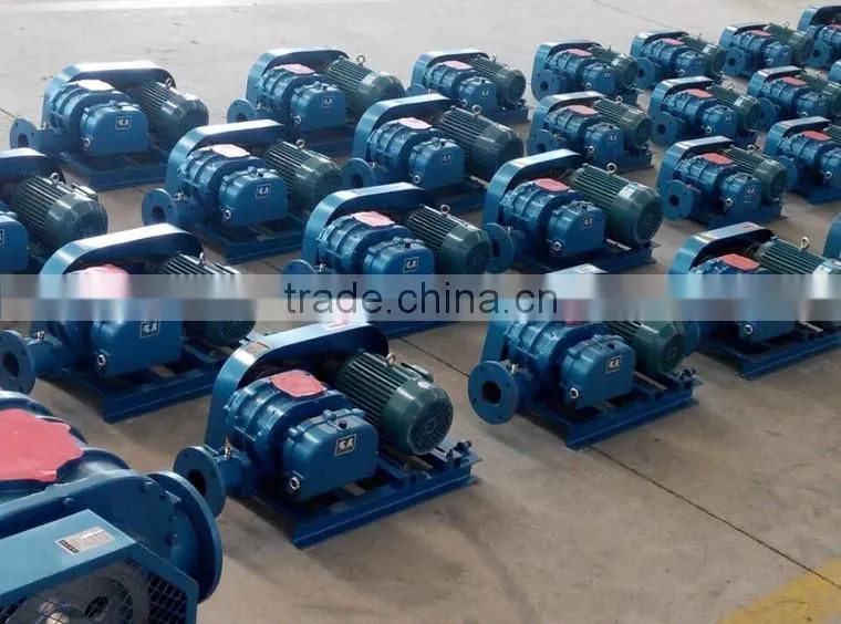 Ventilation Fan Small Roots Blower /Roots air blower