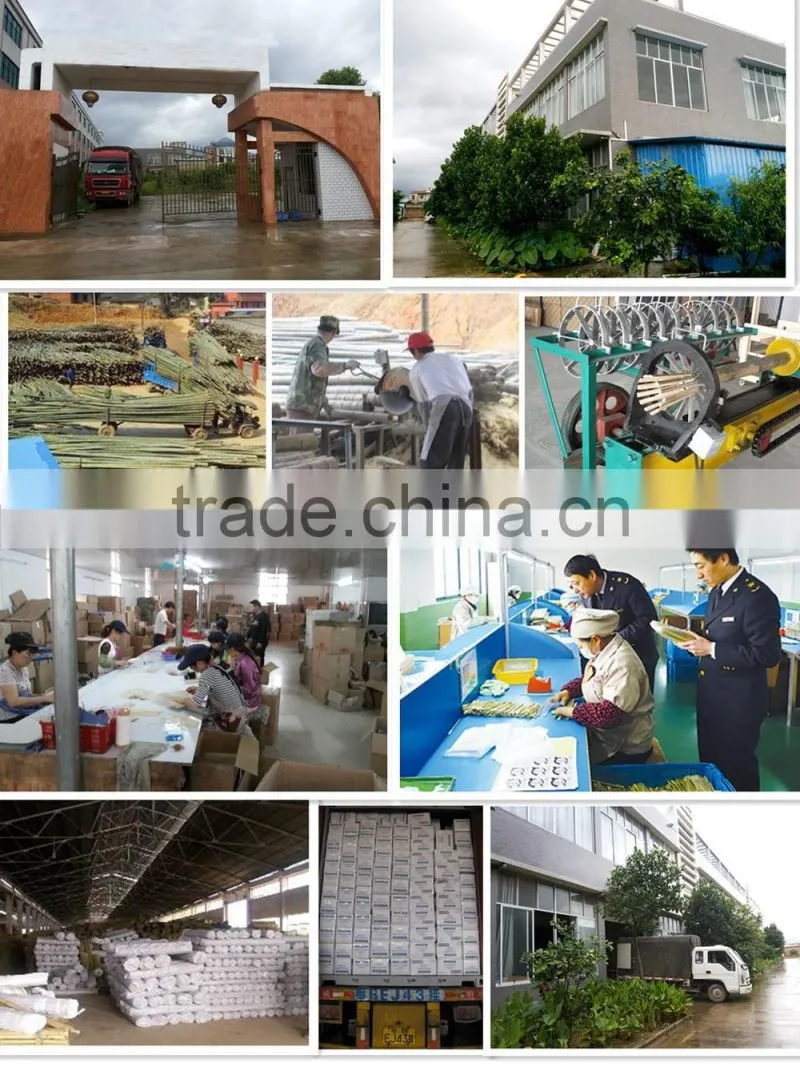 Top qualaty chinese bamboo different kinds of toothpicks