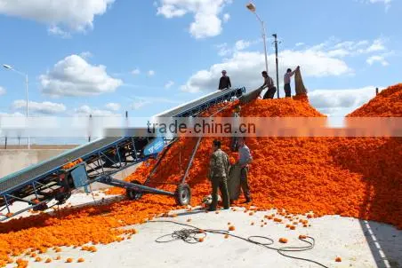 100% natural marigold extract lutein powder 10%