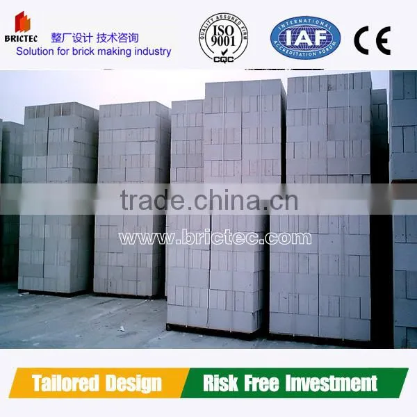 Fireproof and waterproof AAC concrete brick making machinery