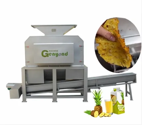 10T/H Turnkey Solution and Technical Support for Pineapple Processing Line With All Kinds of Package