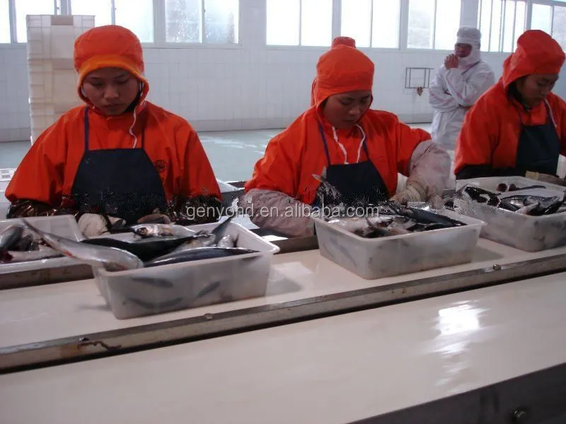 Complete Canned Fish Processing Line / Sardines Canning Machine