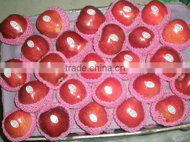 new crop red huaniu apple