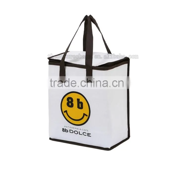 Exceptional Quality Custom Printed Logo Elegant And High End Frozen Food Soft Sided Insulated Cooler Bag