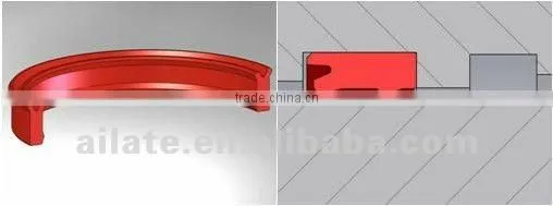 Hydraulic Seal