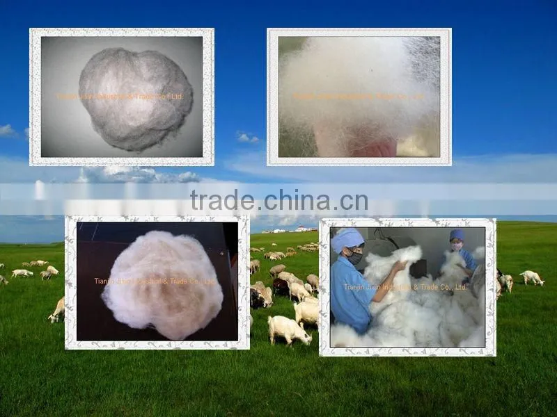 100% wool white dehaired cashmere