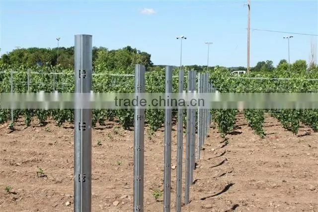 2016 High quality low price of vineyard pole