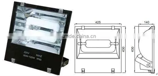 electrodeless induction lamp for flood light