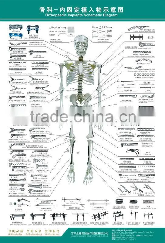 Straight-type Plate Type I surgical plate screws