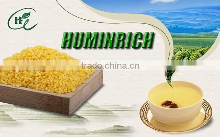 FAQ 23--How To Use Huminrich NPK Fertilizer For Millet?