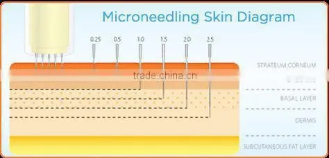 cheap micro needles dermapen korea
