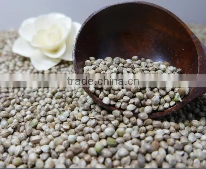 Hemp Seeds with high quality 2016 crop