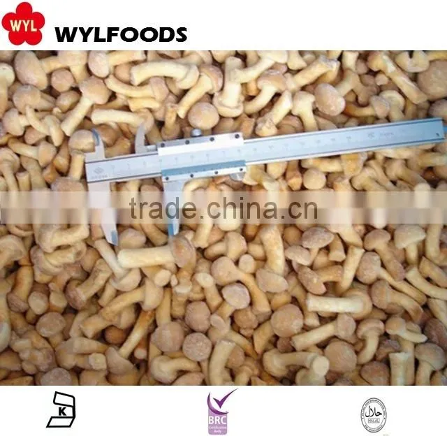 frozen nameko mushroom price in china