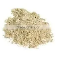 Pearl Millet