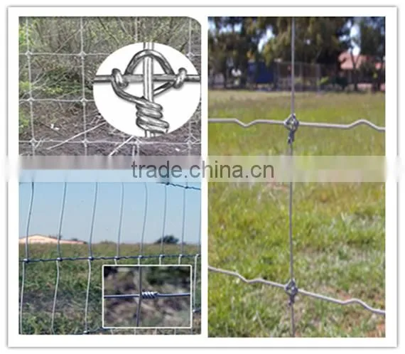 Anping Deming produce crosslock knot Field fence