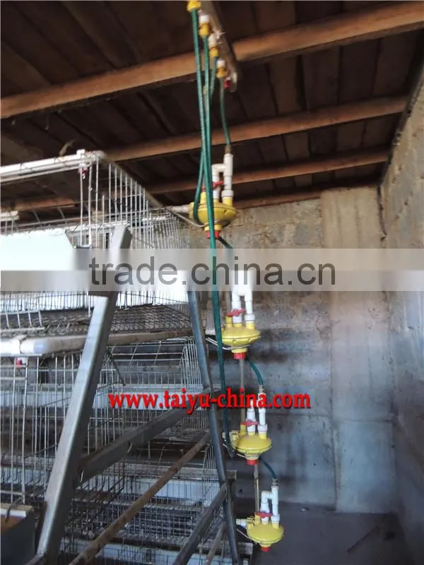 TAIYU Design Layer Chicken Cages In Kenya