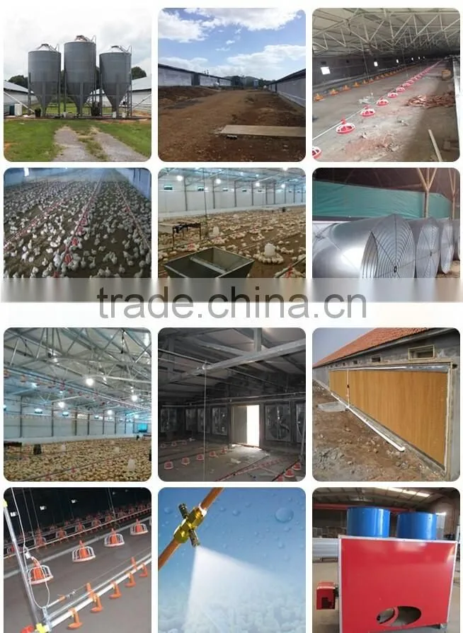 advanced design automatic farming equipment for broilers and chickens