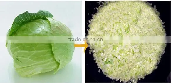 Best quality vegetable grinding machine