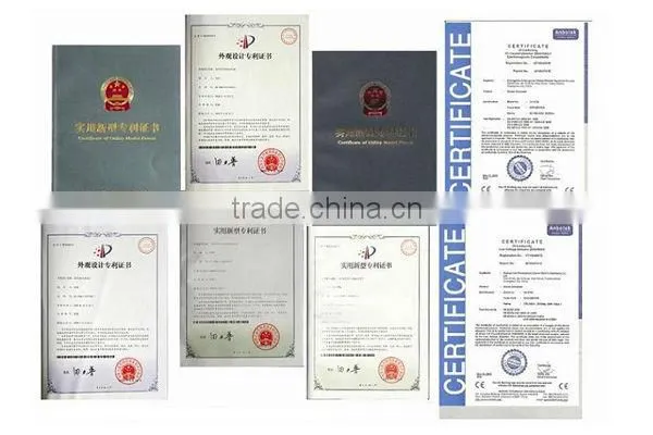 Ozone cleaner
