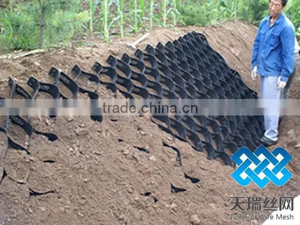 High quality CE certified HDPE Geocell for roadbed, slope
