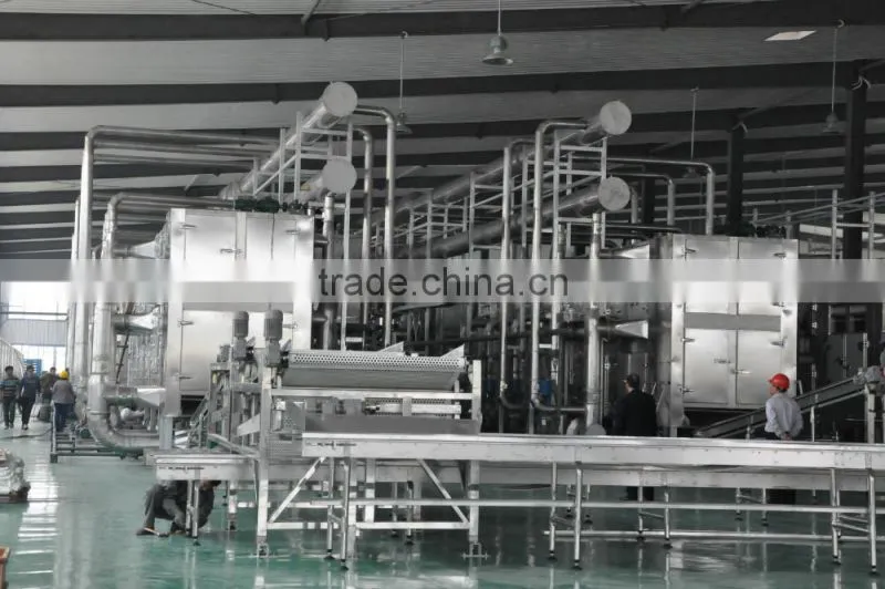 Sardine Multiple layer continuous type mesh belt dryer