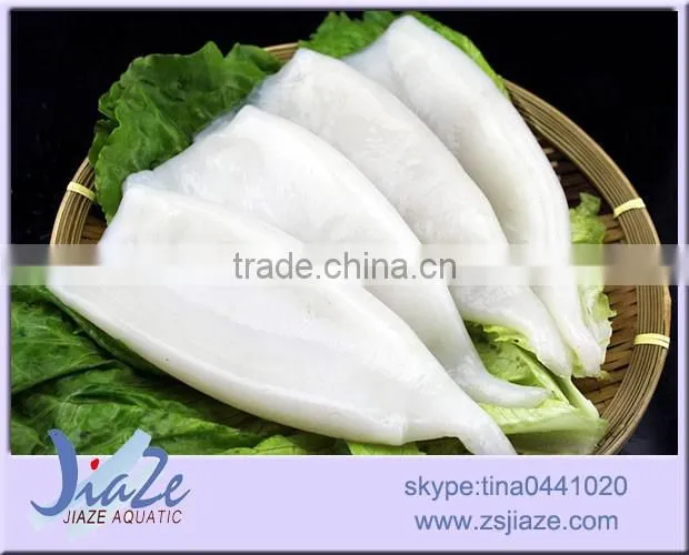 frozen squid tube illex squid