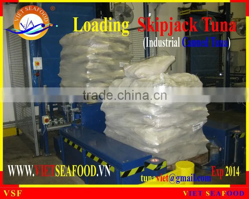LOADING FROZEN SKIPJACK TUNA