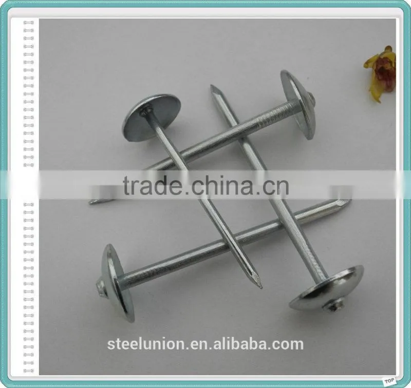 Top quality umbrella head roofing nails/linyi Roofing nails