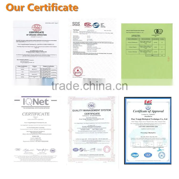Gift Packing Chinese Mini Puer Tuo Cha Tea From Yunnan Province