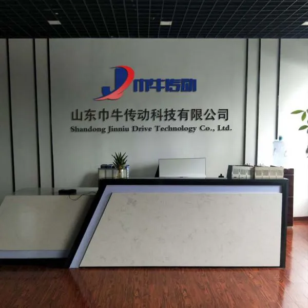 Shandong Jinniu Drive Technology Co., Ltd. company overview - view 1