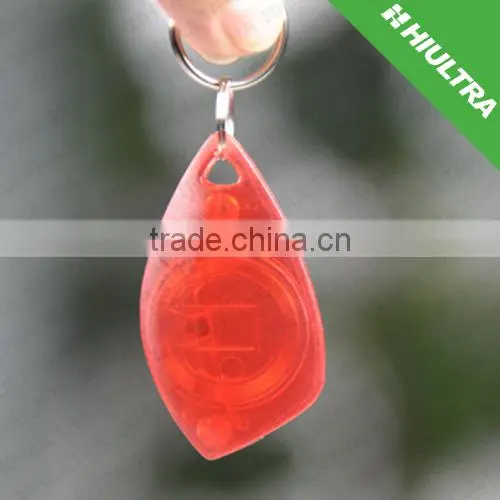Transparent Visible Chip Keytag