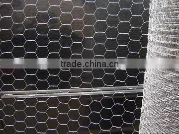 galvanized hexagonal wire mesh/netting