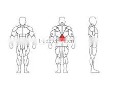 SK-620 Back extension wholesale sports equipment commercial gym