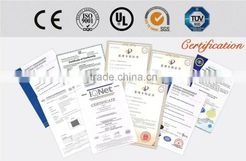 Precise pulp moulding plant