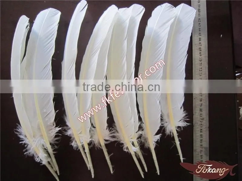 Wholesale Feather Products Natural Turkey Feather For Party Mask And Wedding Decorations
